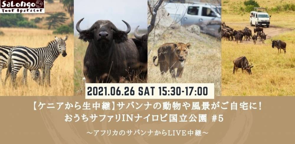 催行決定 サバンナの動物や風景がご自宅に おうちサファリｉｎナイロビ国立公園 5 Eventregist イベントレジスト